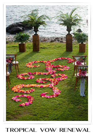 Tropical Vow Renewal Wedding Portfolio