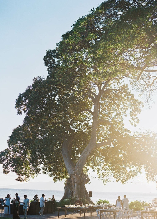 Maui Weddings