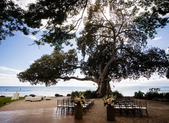 Maui Weddings