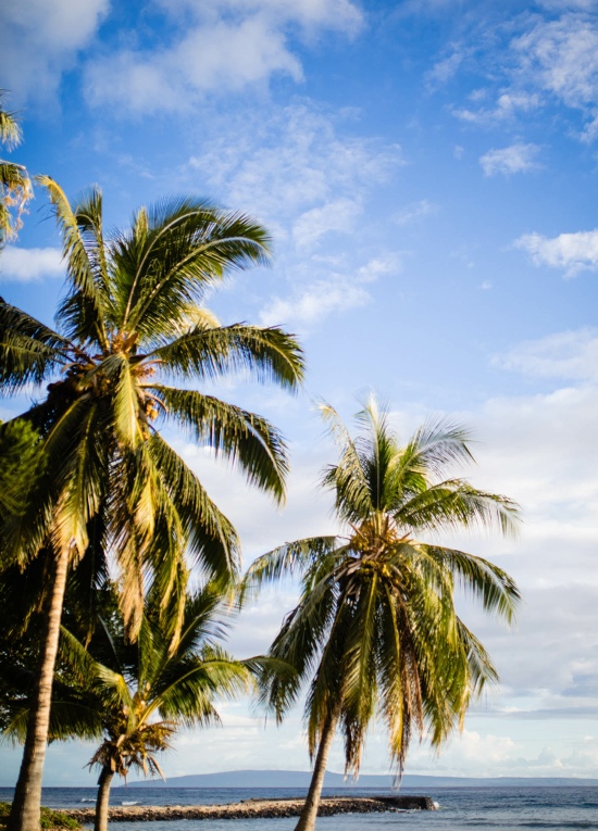 Maui Weddings